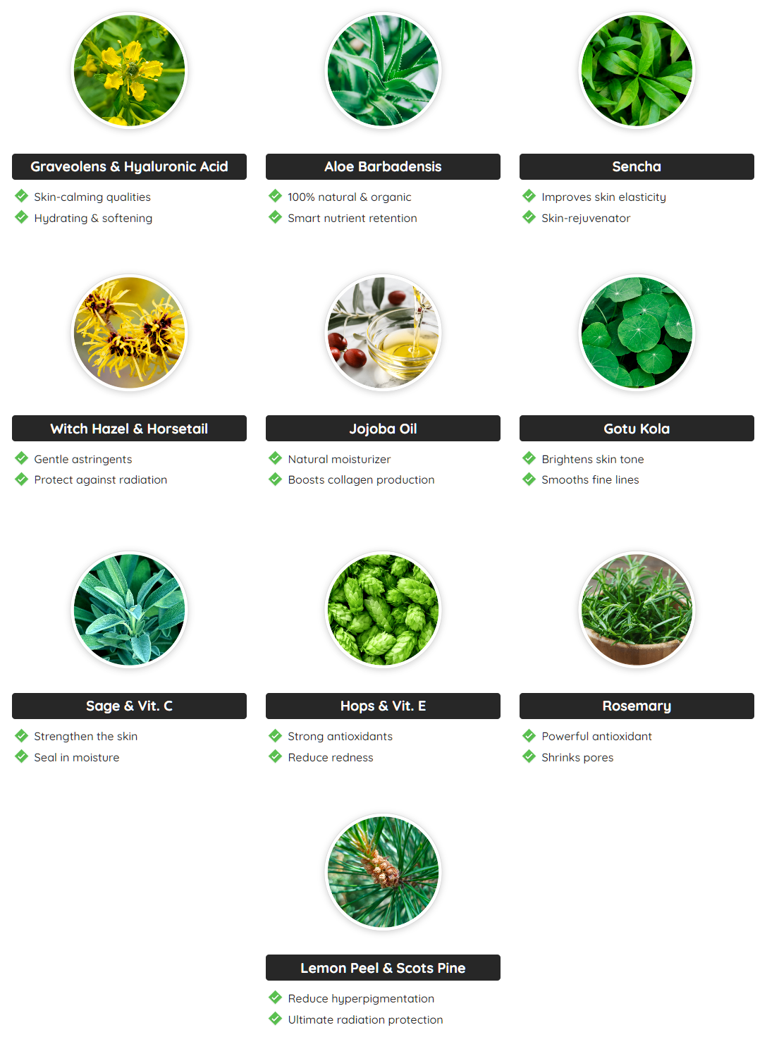 BioRestore Complete ingredients